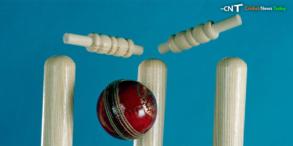 Middle Stump in Cricket