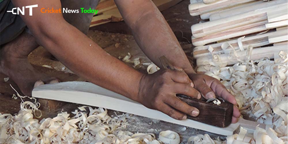 Kashmir Willow Cricket Bat Making